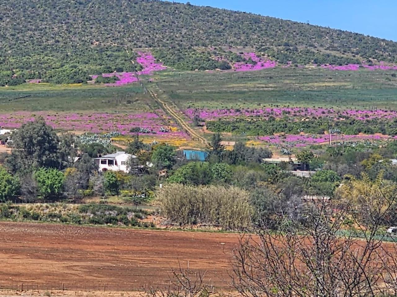 Kranskloof Country Lodge Oudtshoorn Exterior photo
